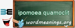 WordMeaning blackboard for ipomoea quamoclit
